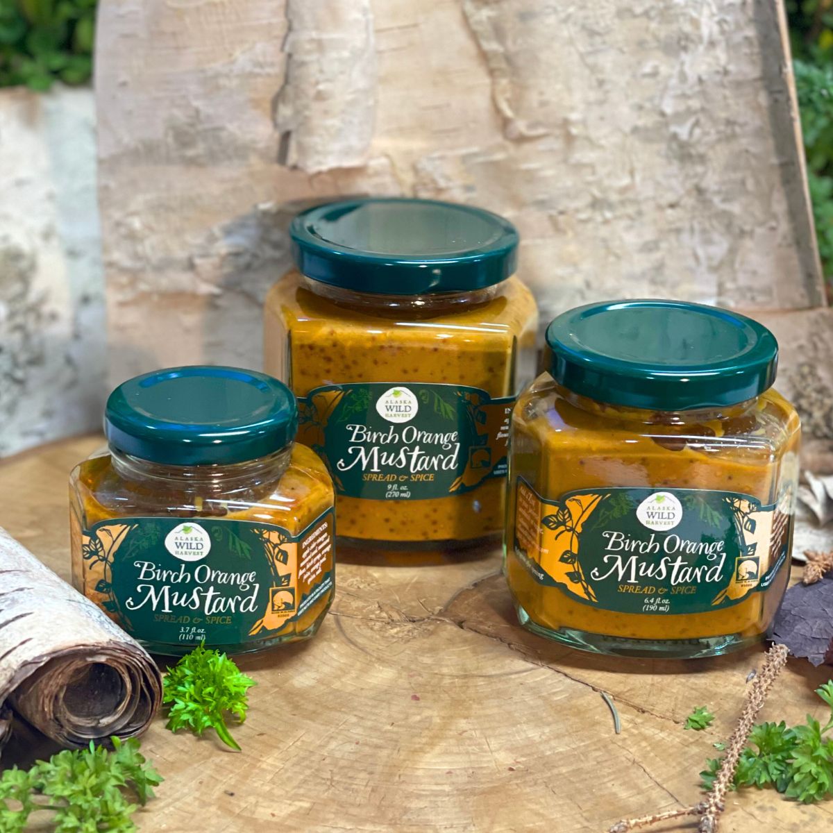 Three jars of Birch Orange Mustard by Alaska Wild Harvest, with the flavors 1/2 lb, 1 lb, and 1 1/2 lb labeled, placed on a wooden surface with a piece of cloth and some greenery in the background.